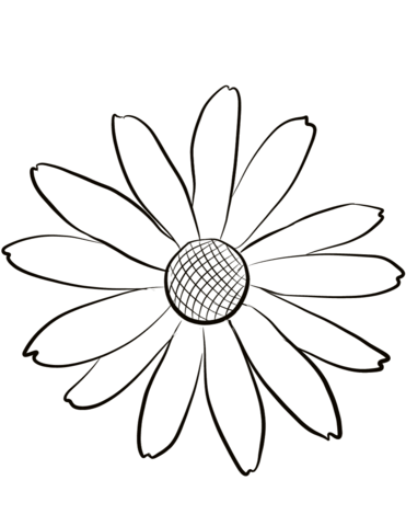 Black Eyed Susan Coloring Page